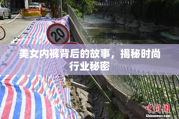 美女内裤背后的故事，揭秘时尚行业秘密