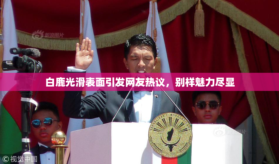 白鹿光滑表面引发网友热议，别样魅力尽显