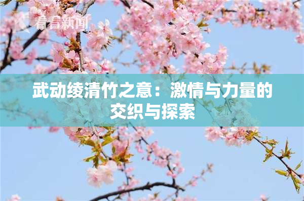 武动绫清竹之意：激情与力量的交织与探索