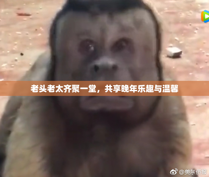 老头老太齐聚一堂，共享晚年乐趣与温馨