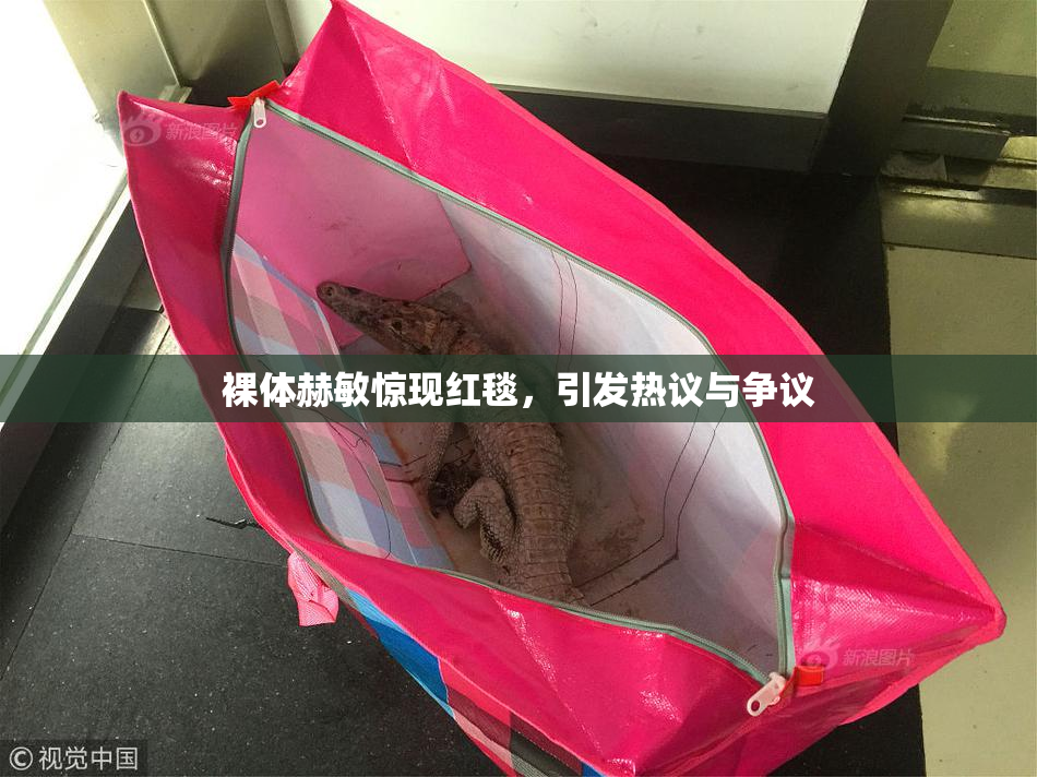 裸体赫敏惊现红毯，引发热议与争议