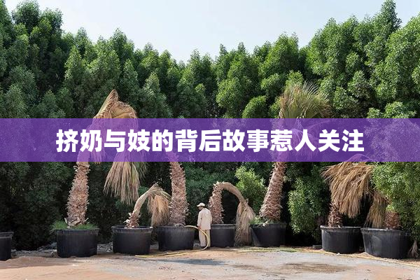 挤奶与妓的背后故事惹人关注