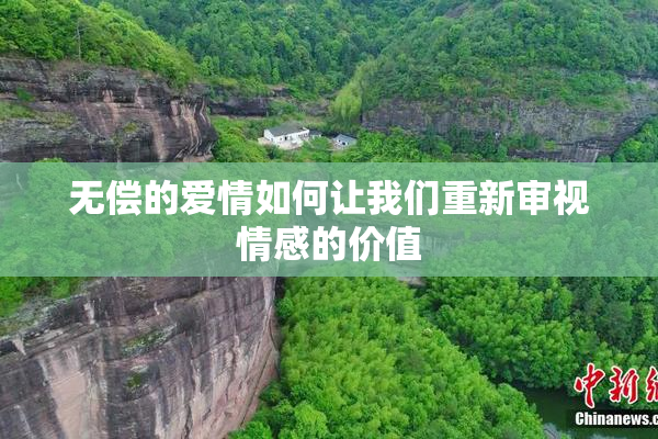 无偿的爱情如何让我们重新审视情感的价值