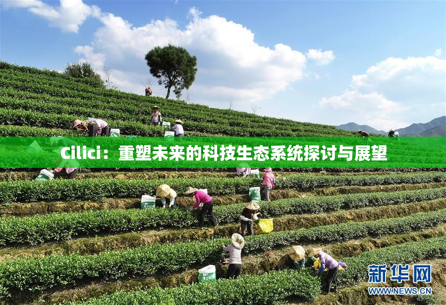 Cilici：重塑未来的科技生态系统探讨与展望
