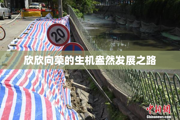 欣欣向荣的生机盎然发展之路