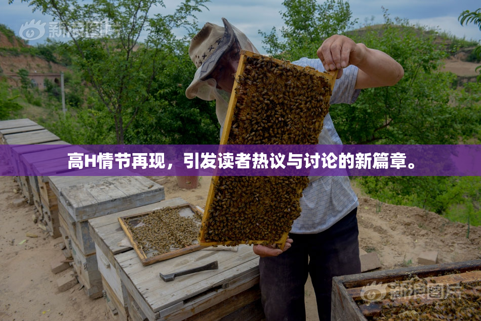 高H情节再现，引发读者热议与讨论的新篇章。