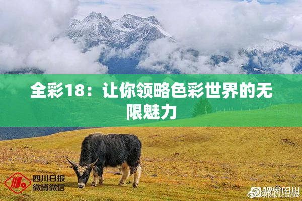 全彩18：让你领略色彩世界的无限魅力
