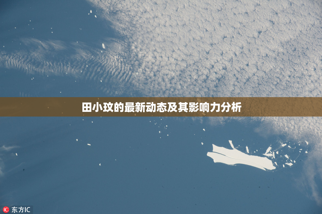 田小玟的最新动态及其影响力分析