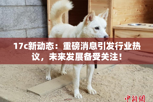 17c新动态：重磅消息引发行业热议，未来发展备受关注！