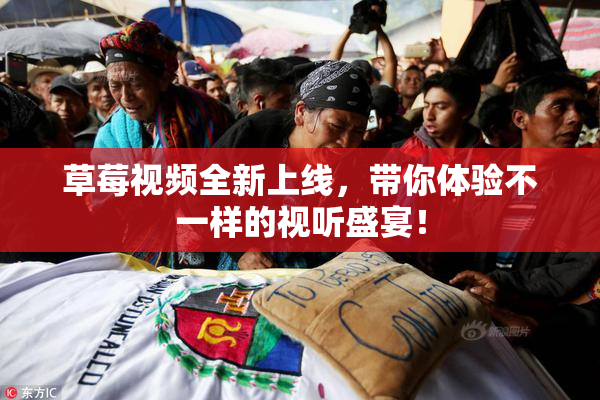草莓视频全新上线，带你体验不一样的视听盛宴！