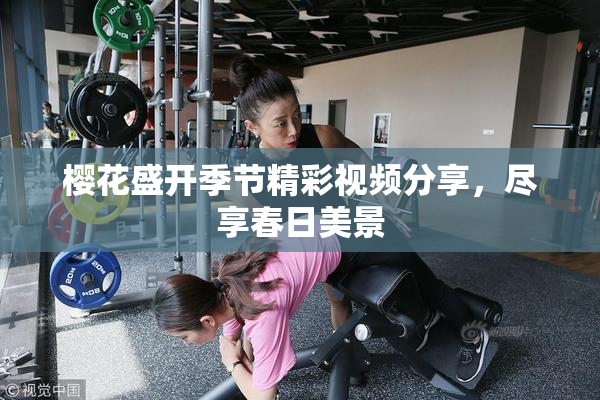 樱花盛开季节精彩视频分享，尽享春日美景