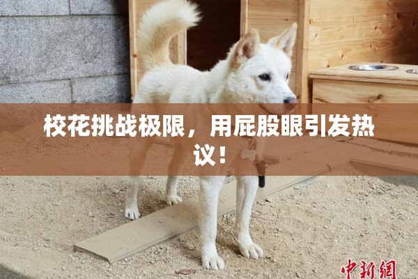 校花挑战极限，用屁股眼引发热议！