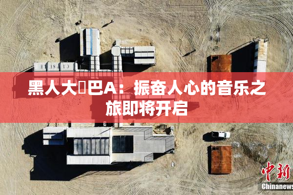 黑人大鷄巴A：振奋人心的音乐之旅即将开启