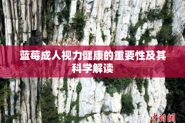 蓝莓成人视力健康的重要性及其科学解读