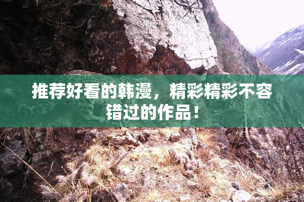 推荐好看的韩漫，精彩精彩不容错过的作品！