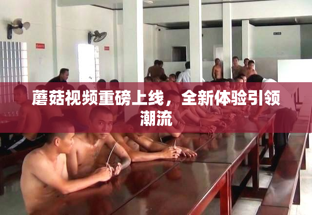 蘑菇视频重磅上线，全新体验引领潮流