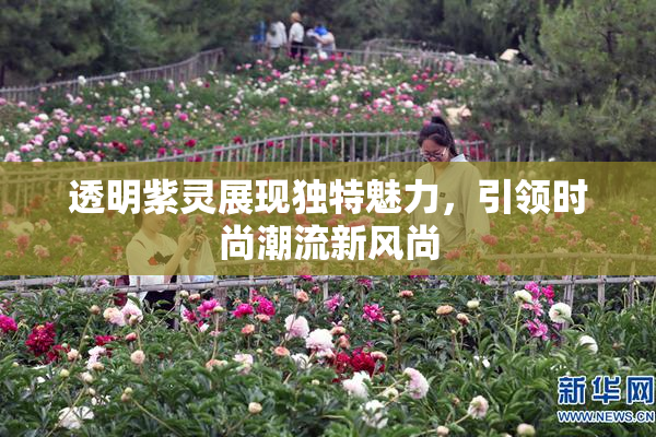 透明紫灵展现独特魅力，引领时尚潮流新风尚
