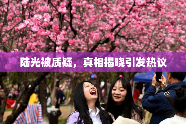 陆光被质疑，真相揭晓引发热议