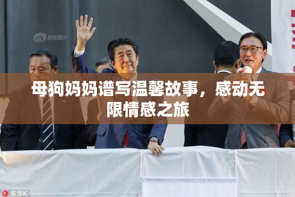 母狗妈妈谱写温馨故事，感动无限情感之旅