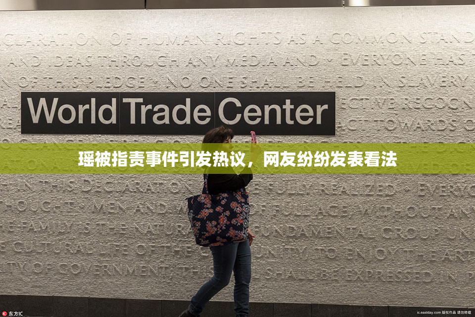 瑶被指责事件引发热议，网友纷纷发表看法