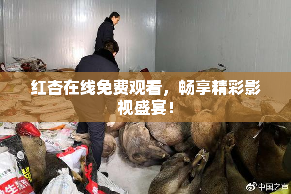 红杏在线免费观看，畅享精彩影视盛宴！