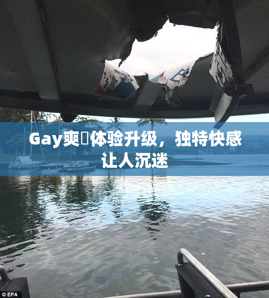 Gay爽擼体验升级，独特快感让人沉迷