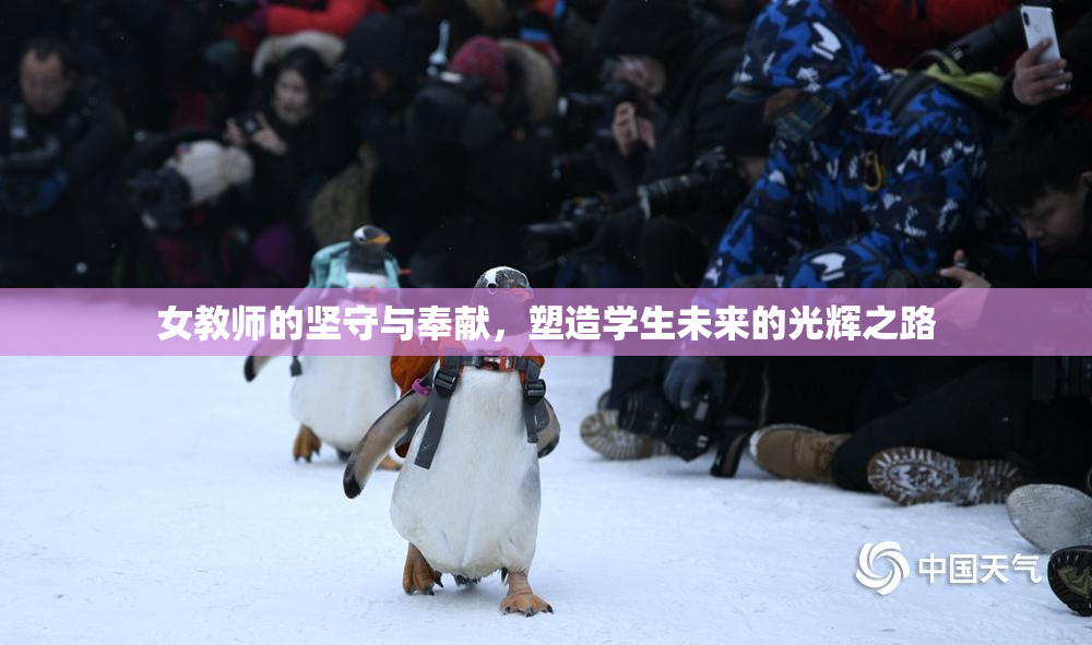 女教师的坚守与奉献，塑造学生未来的光辉之路