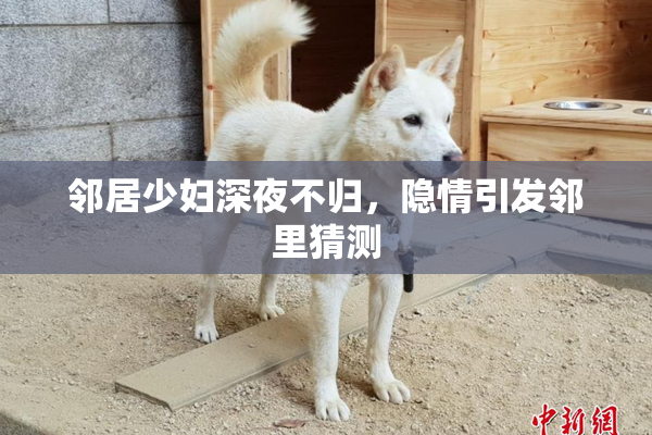 邻居少妇深夜不归，隐情引发邻里猜测