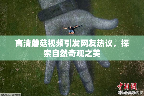 高清蘑菇视频引发网友热议，探索自然奇观之美