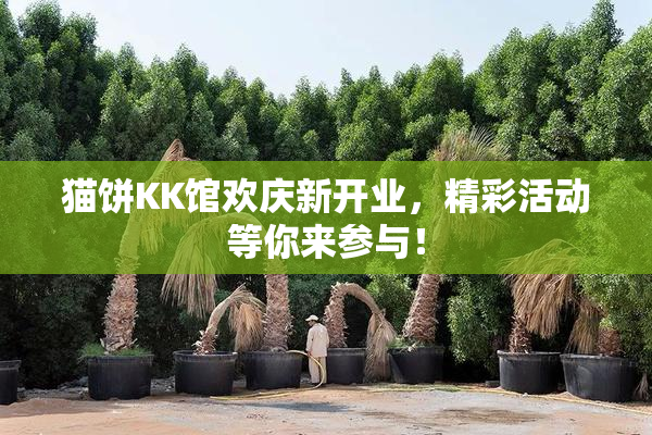 猫饼KK馆欢庆新开业，精彩活动等你来参与！