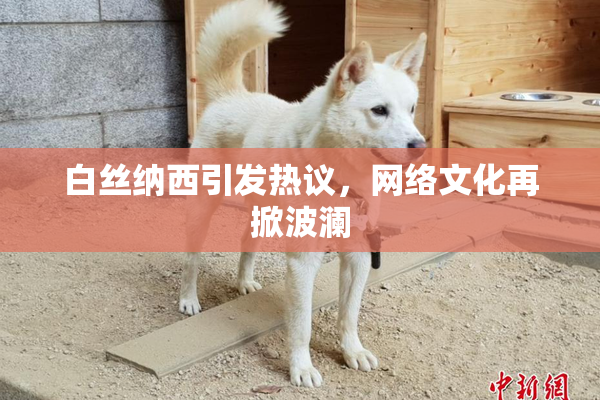 白丝纳西引发热议，网络文化再掀波澜