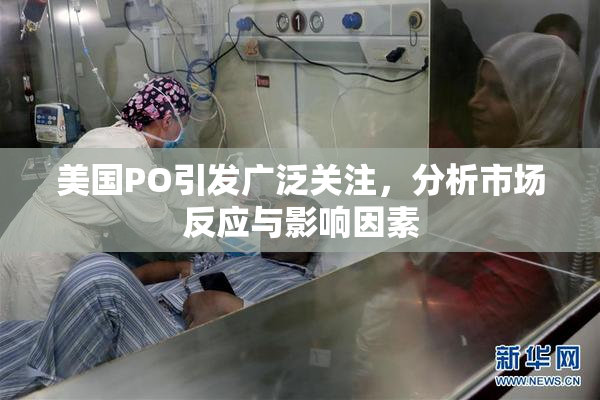 美国PO引发广泛关注，分析市场反应与影响因素