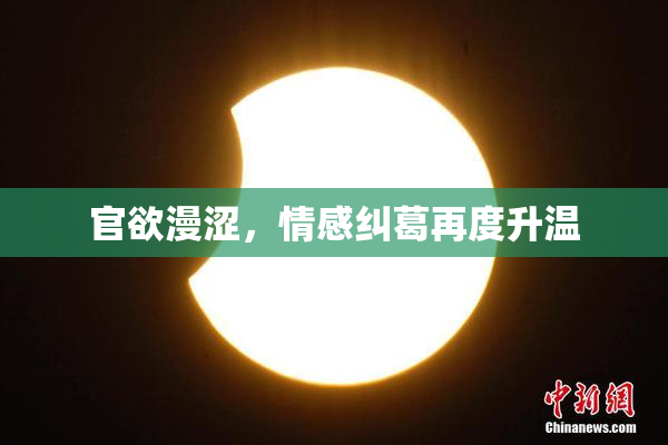 官欲漫涩，情感纠葛再度升温