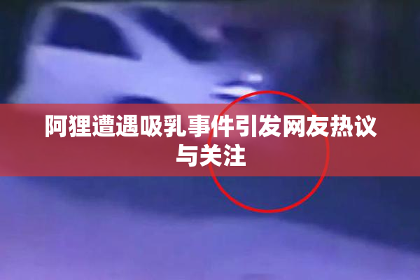 阿狸遭遇吸乳事件引发网友热议与关注