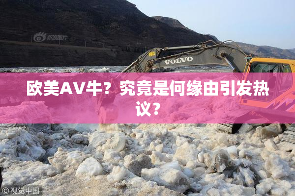欧美AV牛？究竟是何缘由引发热议？