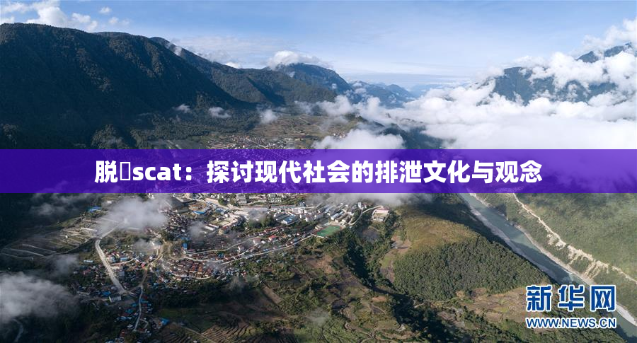 脱糞scat：探讨现代社会的排泄文化与观念