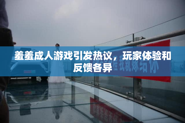 羞羞成人游戏引发热议，玩家体验和反馈各异