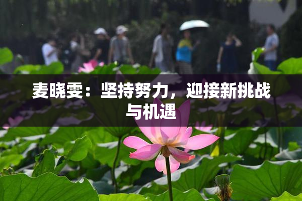 麦晓雯：坚持努力，迎接新挑战与机遇