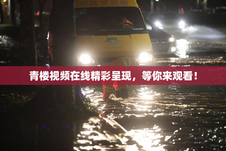 青楼视频在线精彩呈现，等你来观看！