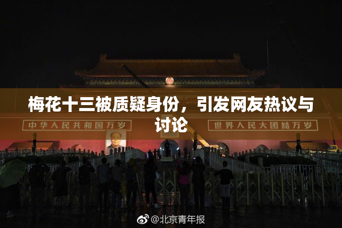 梅花十三被质疑身份，引发网友热议与讨论