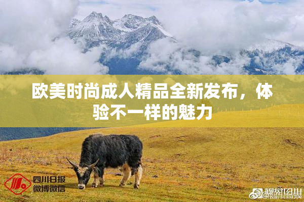 欧美时尚成人精品全新发布，体验不一样的魅力