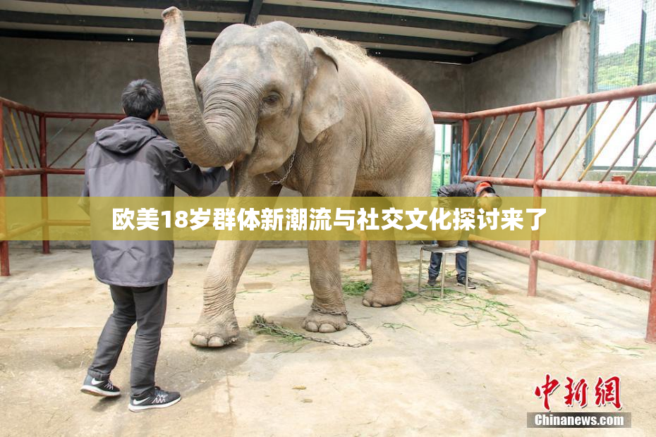 欧美18岁群体新潮流与社交文化探讨来了