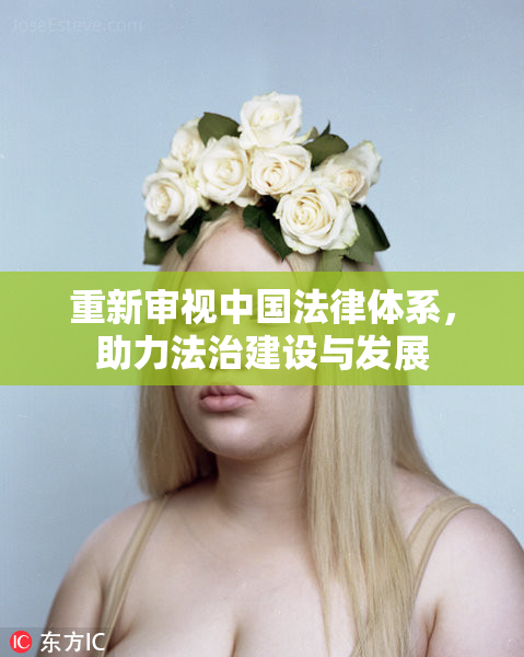重新审视中国法律体系，助力法治建设与发展