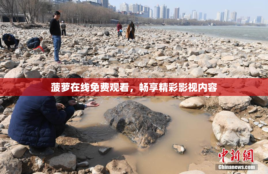 菠萝在线免费观看，畅享精彩影视内容