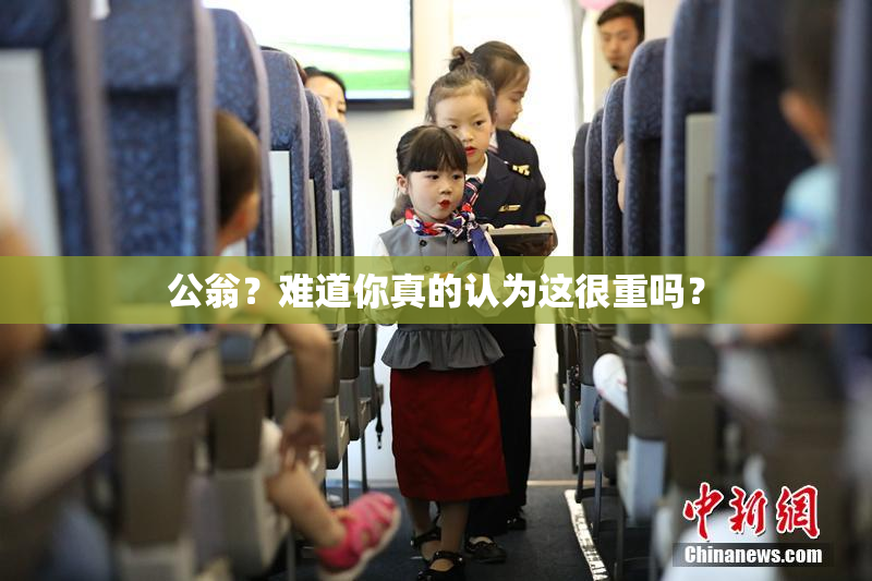 公翁？难道你真的认为这很重吗？