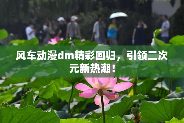 风车动漫dm精彩回归，引领二次元新热潮！