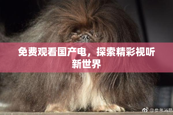 免费观看国产电，探索精彩视听新世界