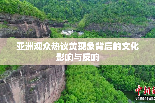 亚洲观众热议黄现象背后的文化影响与反响