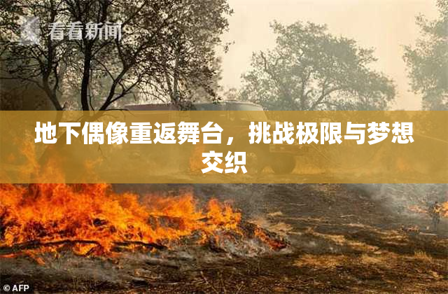地下偶像重返舞台，挑战极限与梦想交织