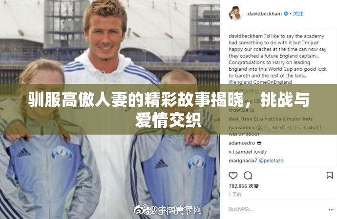 驯服高傲人妻的精彩故事揭晓，挑战与爱情交织